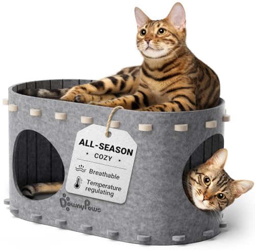 DownyPaws Cat House for Indoor Cats,Peekaboo Cat Bed Cave, Light Gray | Cat Hideaway Enclosed Bed,Cave Hideout Fort,Kitten Cube Castle Hut Tunnel for Cats,Hide Box Bed for Large Cat Up to 22 Lbs - color: Light Gray, size: Single