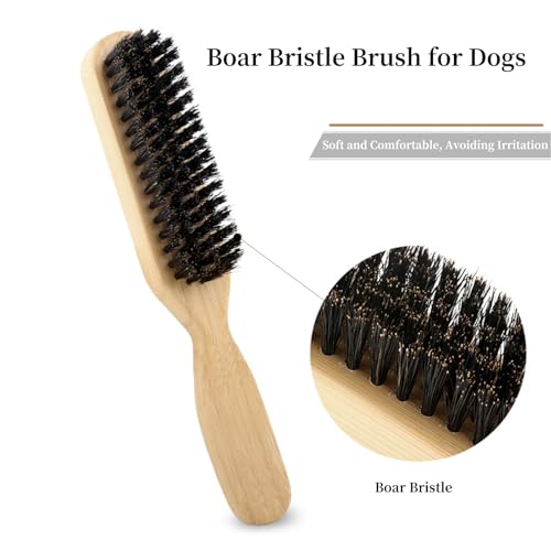 Soft Boar Bristle Dog Brush for Short Haired Dogs, Made of Bamboo,（Small） | Massage Brush, Gentle Deshedding & Grooming Tool, Ideal Dog Hair Brush for Pets, Dog Brushes for Grooming and Shedding - size: Small