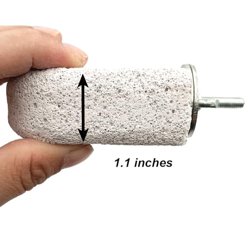 Shelltech Pumice Ledge Lava Ledge for Birds Chinchillas, Climbing Ledge Teeth Grinding Beak Grinding Block Perch Stand for Hamsters Chinchillas Parrots (2 Pack - Small Ledge) - size: 2 Pack - Small Ledge