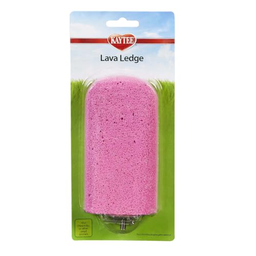 Kaytee Lava Ledge for Attaching To Small Pet Animal Wire Habitats - size: Pack of 1