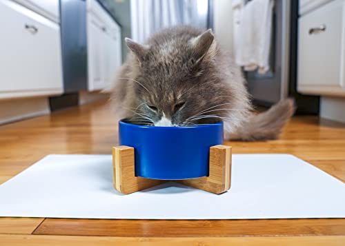 NAT & Jules Small Navy 6 inch Stoneware Ceramic and Wood Pet Bowl with Stand - color: Navy