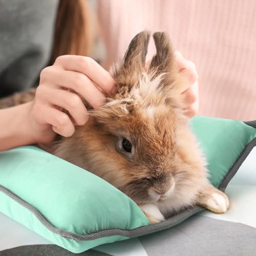 Rabbit Bed, Washable Bunny Pillow, Reversible Lounger Pad, Soft Small Animal Bedding, Stress Relief Pet Mat for Kittens, Guinea Pigs, Puppies - color: Light Green