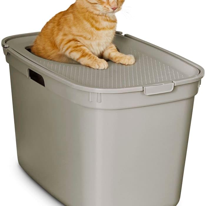 So Phresh by Petco Top-Entry Litter Box Tan 23.2" L X 15.4" W X 15" H