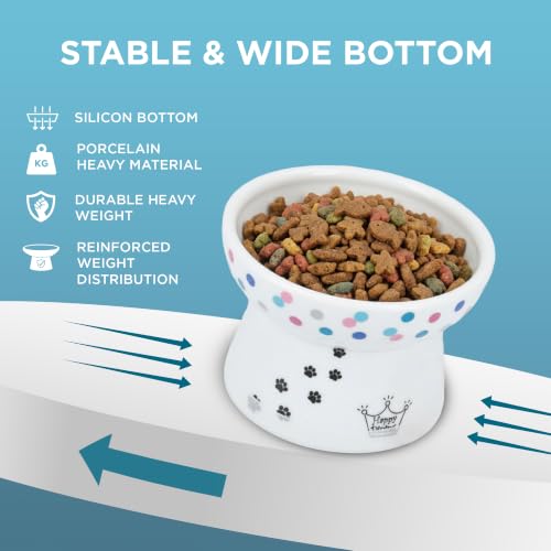 Necoichi Ceramic Raised Cat Food Bowl, 15° Tilted (Colorful Dots, Regular) - color: Colorful Dots, size: Regular