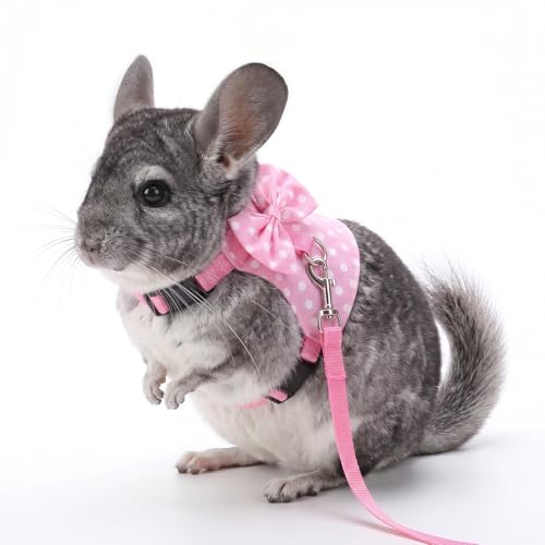 Gjinxi Adjustable Bunny Rabbit Harness Leash Set Comfort No Pulling Vest | Cute Mesh Harness Stuff with Bow, Escape Proof, Accessories, for Small Pets, Kittens, Guinea Pig, Baby Ferret, Rats, Hamster