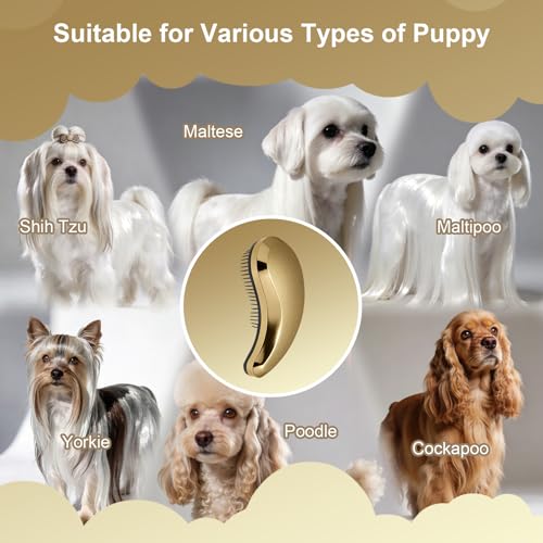 Small Dog Brush, Skin-friendly Soft Bristles (Rose Gold) | Puppy Hair Brush, Massage and Bath Supplies, Pet Grooming Tool for Teddy, Yorkies, Maltese, Shih Tzu, Chihuahua - color: Rose Gold