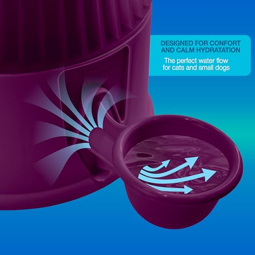 Pet Water Dispenser for Dogs and Cats, 67.6 oz – Gravity-Fed Water Bowl for Clean Drinking, Prevents Wet Fur, BPA-Free Polypropylene, (Opaque Purple) - color: Opaque Purple