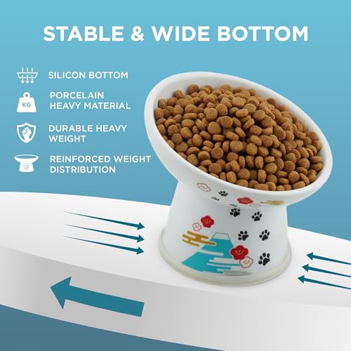 Necoichi Ceramic Elevated Cat Food Bowl, 15° Tilted (Fuji, Regular Tilted) - color: Fuji, size: Regular Tilted