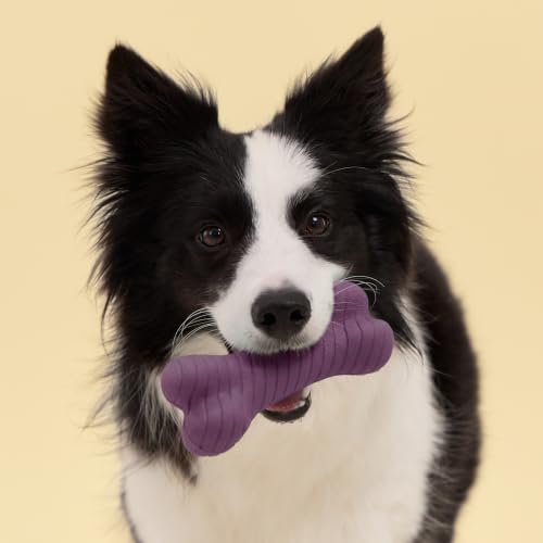 Playology Dual Layer Bone Dog Chew Toy - Jumbo, Bacon Scent | Rubber Construction, All Natural Scent, Heavy Duty Design - size: Jumbo, style: Bacon