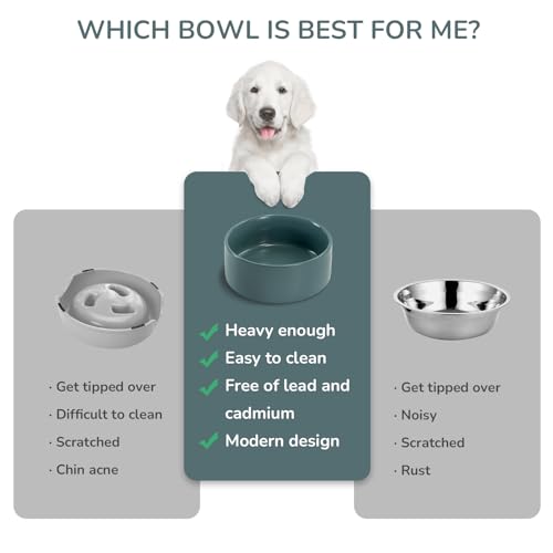 SPUNKYJUNKY 13.5OZ Ceramic Dog and Cat Bowl, Modern Cute Weighted Food Water Bowl for Replacement Light Green (1 Pack) - color: Light Green, size: 1.7 CUPS