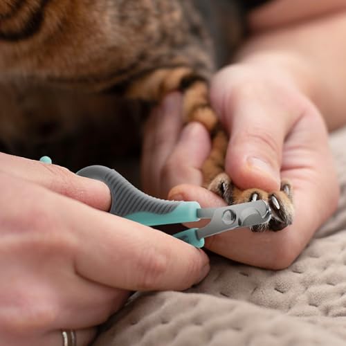 Mr. Pen- Cat Nail Clipper, Stainless Steel | Professional Sharp Cat Claw Trimmer for Small and Medium Cats, Pet Nail Clipper with Sturdy Non Slip Handle - color: Blue & Gray