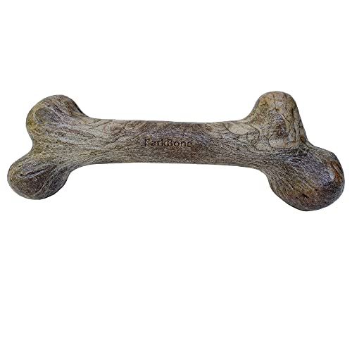 Pet Qwerks Dinosaur BarkBone - Nylon Dog Bone for Aggressive Chewers - Bacon Flavor - 9.75" - size: Large