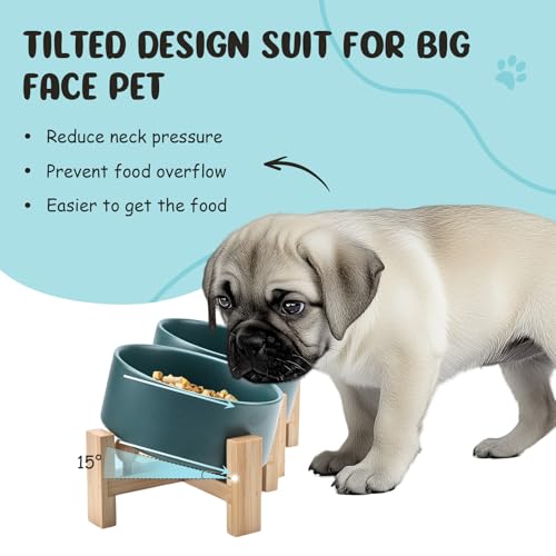 SPUNKYJUNKY 15° Slanted Ceramic Dog and Cat Bowl with Wooden Stand, Tilted Bulldog Food and Water Bowl No Slip Non-Spill for Cats Medium Dogs Big Face Pets 28.7 OZ (3.6 Cups, Green × 2) - color: Green, size: 3.6 CUPS × 2