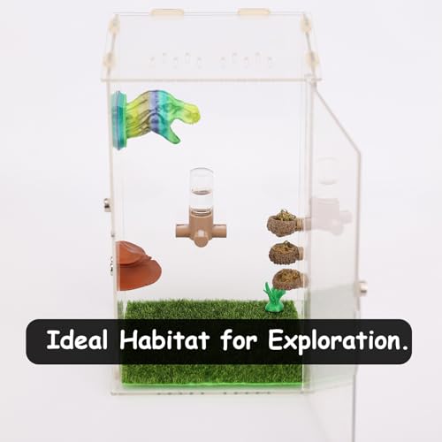 Jumping Spider Water Dispenser, Magnetic Hanging Feeder,Suitable for Jumping Spiders,Tarantulas, Praying Mantises,Arboreal Animals, and Other Small Animal Enclosure Accessories,5ML (Pink) - color: Pink