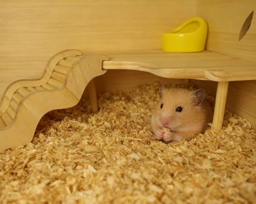 Wooden Hamster Platform for Hamster Cage Accessories Climbing Toys Dwarf Syrian Hamster Gerbil Rat Mice Degus or Other Small Pets (Triangle) - style: Triangle