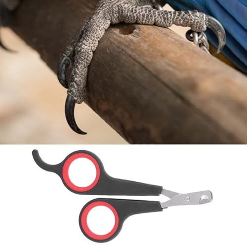 Bird Nail Clippers, Stainless Steel Small Animal Nail Clippers, Half Moon Pet Nail Scissors, Plastic Handle Pet Nail Clipper Scissors, Clipper Bird Grooming for Small Parrot Birds