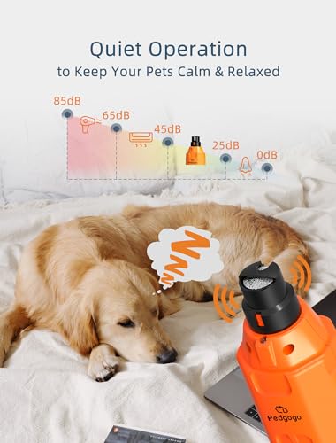6-Speed Dog Nail Grinder& 3 Grinding Heads with 2 LED Lights | Super Quiet (45 db) Pet Nail grinder 12000RPM & 3 Grinding Ports with Dust Cap Dog Nail Trimmer for Large Medium Small Dogs - size: Orange+3 Heads