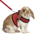 Hypeety Bunny Kitten Harness No Pull Cat Leash Stylish Vest Harness for Small Animal Adjustable Soft Breathable Walking Harness Set (RED, S) - color: Red, size: S