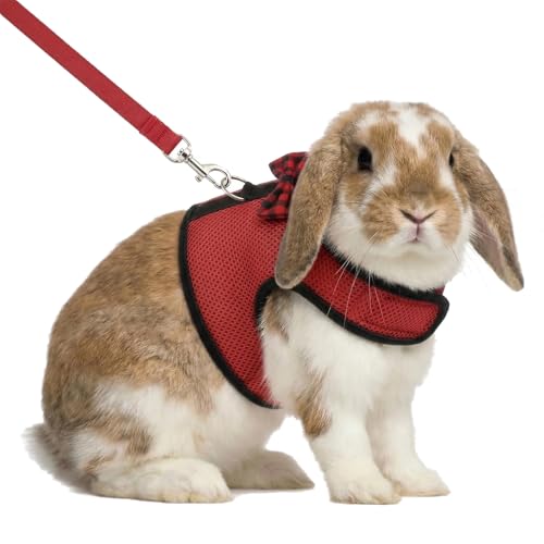 Rabbit Bunny Kitten Harness No Pull Cat Leash Stylish Vest Harness for Small Animal Adjustable Soft Breathable Walking Harness Set (RED, L) - color: Red, size: L