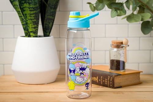 Silver Buffalo Sanrio Hello Kitty and Friends Chococat, Water Bottle, 28oz | Cinnamoroll, Kuromi, Keroppi, Badtz-Maru, Tuxedo Sam, My Melody, Screw Lid, Pochacco, Little Twin Stars, Pompompurin - color: Sanrio Hello Kitty and Friends Group, size: 28 Ounce