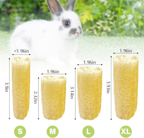 BNOSDM Bunny Chew Toys Natural Loofah 4PCS Bunny Teeth Grinding Toy Rabbit Fiber-Rich Treats Pet Entertainment Accessories for Rabbits Chinchillas Guinea Pig（XL） - color: XL-4PCS
