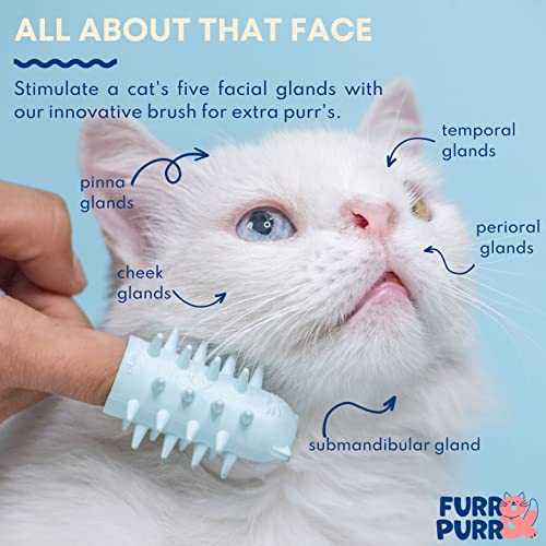 Furr&Purr Cat Brush Set for Indoor Cats - Grooming Tools: Face Scratcher, Calming Massager, and Scratching Pad (2-Pack, Made in the USA) - size: 2 Pack - New