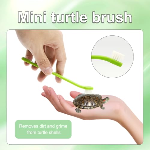 2 Pcs Turtle Brush with Suction Cups, 2 Large Decorative Duckweed, Turtle Tank Accessories, Not Easy to Peel, Shell Exfoliating Back Scrub Cleaning Brush (Green)