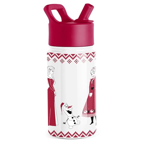 Simple Modern Disney Frozen Kids Water Bottle & Toddler Cup | 14oz | Insulated Stainless Steel Anna and Elsa Toddler Water Bottle, Kids Tumbler with Straw | Spill Proof for School, Girls, Boys - color: Disney-Frozen Red Dress Winter, size: 14 Ounces