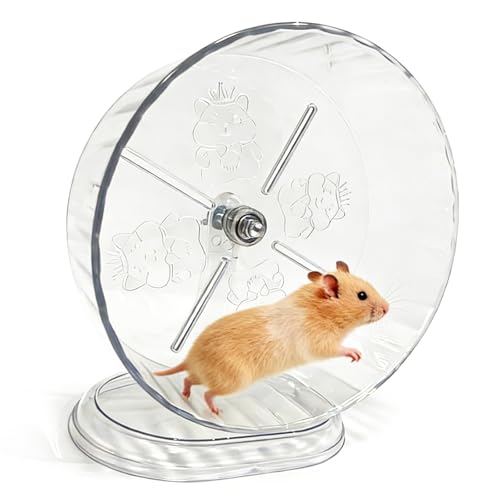 Hamster Silent Running Exercise Wheel for Small Animals, 9.5 inch | Anti-Skid, Adjustable Stand, Quiet Silent, Transparent Visible, Cage Mount, Gerbils, Rats, Mouse, Mice