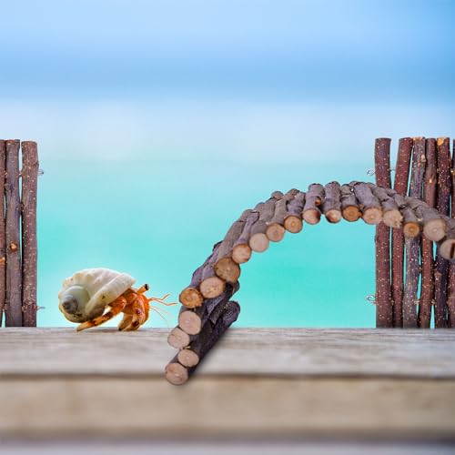 Hermit Crab Hideout & Climbing Toys - Large Size Reptile Climbing Decor for Small or Medium Hermit Crab Habitat (Crabs Climb Bridges) - size: 11.8*5.9 inch