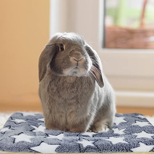 10PCS Rabbit Bed, Soft Bunny Bedding, Fleece Guinea Pig Blanket | Warm Plush Sleeping Mat, Cage Liner for Hamster Ferret Squirrel Hedgehog Rat - color: 03 - (10 Pcs)