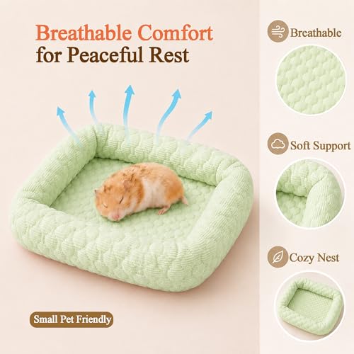 Small Animal Cooling Bed, Ice Silk Summer Pet Bed with Raised Pillow Edges, Non Slip Sleeping Mat for Guinea Pigs, Hamsters, Rabbits and Other Small Pets - color: Green