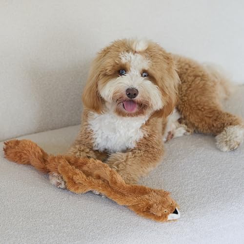 SPOT Skinneeez Squirrel 23-Inch Stuffing-Free Plush Dog Toy – Realistic Design with 2 Squeakers – Durable, Soft Polyester for Medium & Large Dogs – Tug, Fetch & Shake Play – for Moderate Chewers - style: Squirrel
