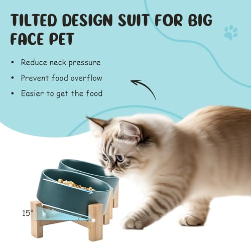 SPUNKYJUNKY 15° Slanted Ceramic Dog and Cat Bowl with Wooden Stand, Tilted Bulldog Food and Water Bowl No Slip Non-Spill for Cats Medium Dogs Big Face Pets 13.5 OZ (1.7 Cups, Green × 2) - color: Green, size: 1.7 CUPS × 2