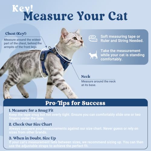 rabbitgoo Cat Harness and Leash Set, Easy-on with Neck Buckle, Navy Blue | Escape Proof, No Over-the-head, Soft Air Mesh, 3 Lockable Adjusters & Buckles, Reflective, for Kittens & Small Cats Walks, Xs - color: Navy Blue, size: Xs