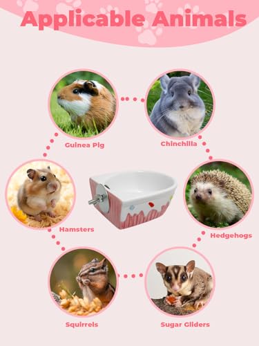 Chinchilla Food Bowl Ceramic Guinea Pig Cage Feeder Hanging Bunny Food Dish Small Animal Feeding Bowls for Syrian Hamster Ferret Gerbils (Pink) - color: Pink