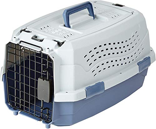 Amazon Basics 2-Door Top-Load Hard-Sided Pet Travel Carrier for Cats and Small Dogs, 19" L x 12.6" W x 10" H, Gray & Blue - color: Gray & Blue, size: 19.0"L x 12.6"W x 10.0"H