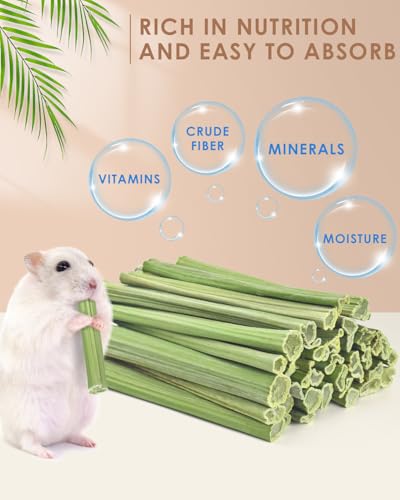 Bissap 50PCS Rabbit Chew Sticks, Natural Papaya Stems Bunny Chews Treats for Rabbits Hamsters Chinchillas Guinea Pigs Small Animals Organic Molar Chewing Snack - size: 50 PCS