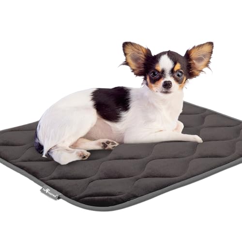 Paw Inspired Washable Padded Crate Mats for Dogs, Gray, 23x17 Inch | Fits 24-inch Kennels, Leakproof, Waterproof Bottom, Plush Dog Pad, Pet Bed - color: Gray, size: 24 Inch