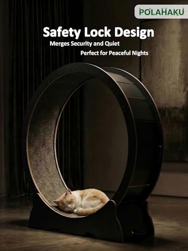 Cat Wheel for Indoor Cats, 48 Inch Diameter Exercise Running Wheel | Enhanced Base, Safety Lock, Quiet, For Cat's Longer Life Fitness, Wide Surface, Low-Entry Design, Easy Assembly, Natural Wood - color: Black
