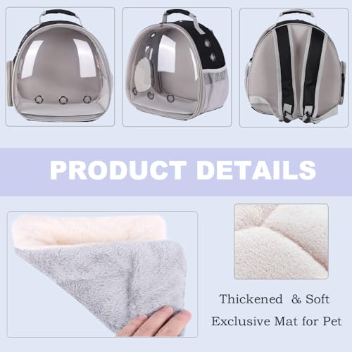 Portable Small Animal Backpack Travel Breathable Pet Carrier Bag Cages for Guinea Pig, Rabbit, Bearded Dragon, Squirrel, Tortoise, Bird, Lizard, Sugar Glider - color: BLK+BLK