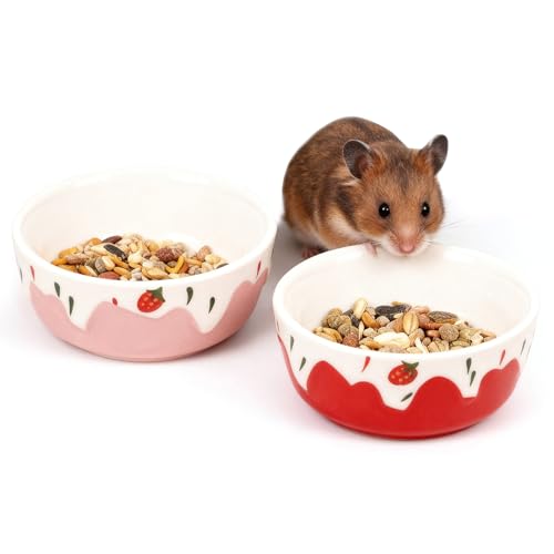 Wontee Hamster Food Bowl 2 Pack Ceramic Food Water Bowl Anti-Tipping for Dwarf Hamsters Gerbil Mice Hedgehog Guinea Pig (Red+Pink) - color: Red+Pink