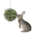 Rabbit Hay Ball Stainless Steel Hanging Feed Dispenser for Bunny Hamster Guinea Pig Rat Chinchilla (A: 5.11inch, Silver) - size: A: 5.11inch