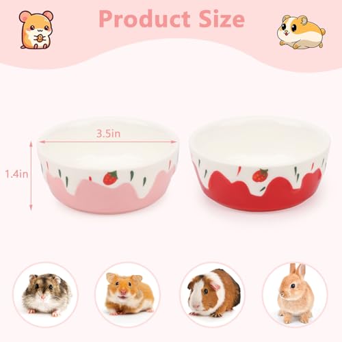 Wontee Hamster Food Bowl 2 Pack Ceramic Food Water Bowl Anti-Tipping for Dwarf Hamsters Gerbil Mice Hedgehog Guinea Pig (Red+Pink) - color: Red+Pink