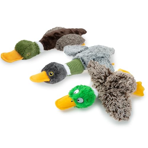 Best Pet Supplies Interactive Squeaky Dog Chew Toy, Ideal Dog Toys for Chewers, Small, Medium & Large Dogs, and Fetch Lovers - Mallard Duck (Gray, Gray, Brown), Small - color: Mallard Duck (Gray, Gray, Brown), size: Small