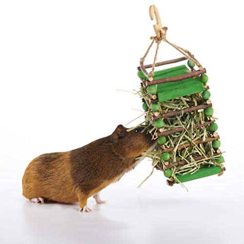 Oxbow Apple Stick Rabbit Hay Feeder, Guinea Pig Hay Holder, Chewable | Bunny Hay Feeder, Guinea Pig Hay Feeder, Rabbit Enrichment, Chewable Cage Accessory, Supports Foraging And Enrichment