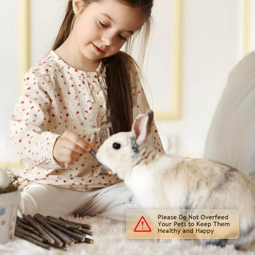 600g Organic Apple Sticks Small Animals Molar Wood Treats Toys for Chinchillas Guinea Pig Rabbits Hamster Gerbil Parrot Bunny Chew Stick Toys, 21.2 OZ - size: 1.33 Pound (Pack of 1)