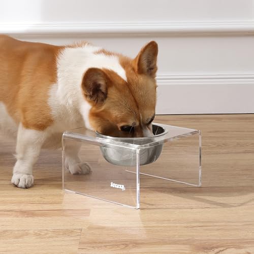 DBL2002A Keaton 5" Small/Medium Modern Acrylic Rectangular Elevated Pet Feeder with 20oz 1-Stainless Steel Bowl, Clear/Chrome - color: Clear/Chrome, size: 20 Ounces (5" Cups 1-Pack)