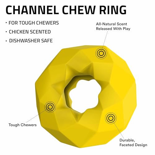 Playology Channel Ring Dog Chew Toy for Large Dogs - Jumbo, Chicken Scent | Large Breeds, Moderate Chewers, Indoor Outdoor Use, Easy Rinse Clean
