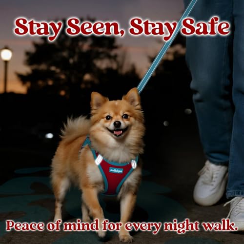 rabbitgoo Dog Harness Small Sized and Leash Set, Step in Soft Vest | Breathable Mesh, Easy Wear with Hook & Loop, Light and Reflective for Walking, Multi-colored, Red & Teal, XXS - color: Red & Teal, size: XXS (Chest: 12.4"-14.2")